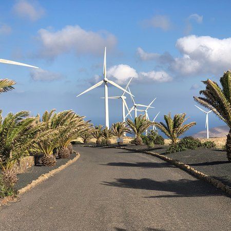 Parque Eolico