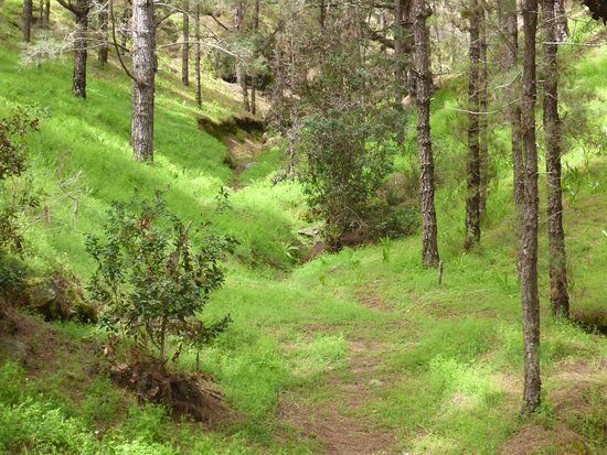 Zona Recreativa Las Raices
