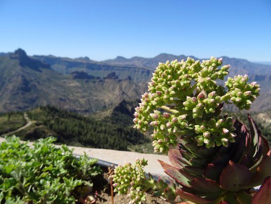 Mirador de Unamuno