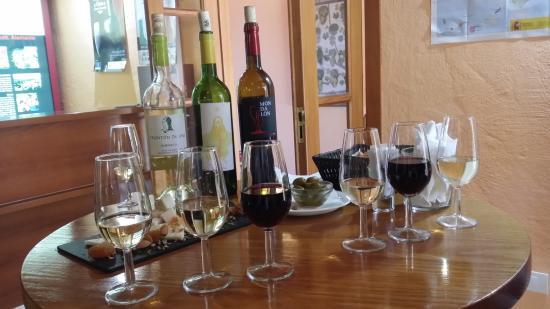 la Casa-Museo del Vino