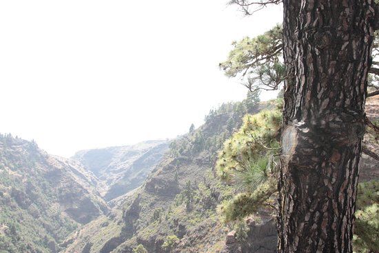 Mirador Barranco de Garome