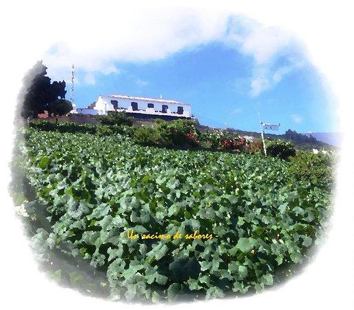 Restaurante La Vina