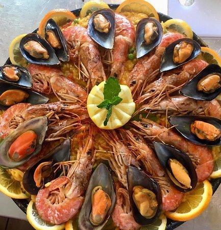 Paco Fiesta