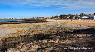 Corralejo Viejo