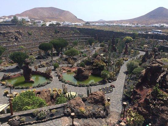 Jardin de Cactus