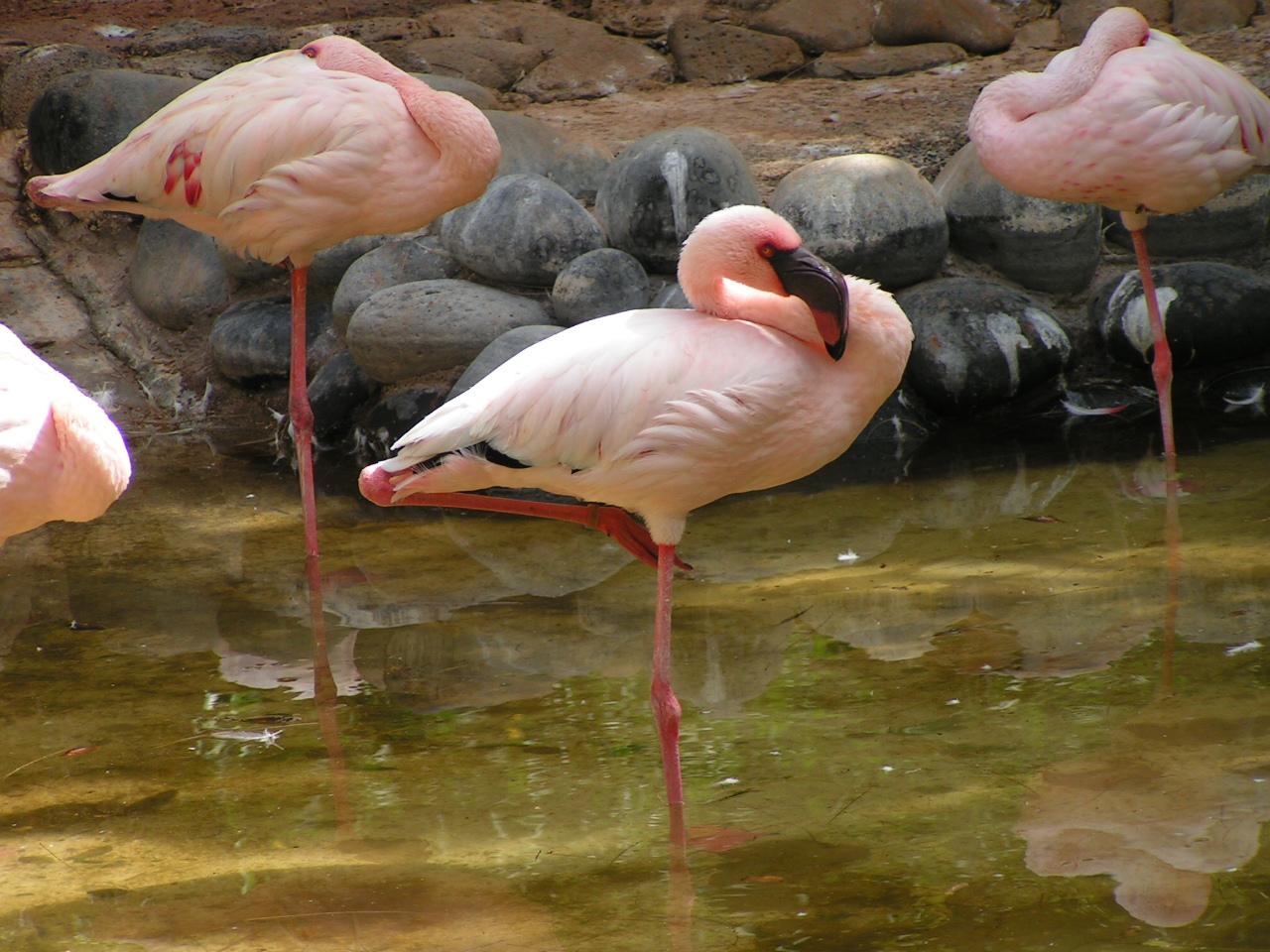 Oasis Park