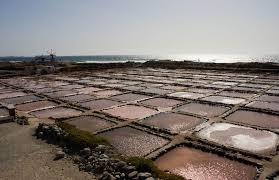 Salinas de Tenefe