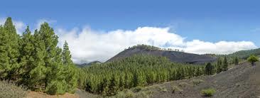 Mirador de Pinos De Galdar