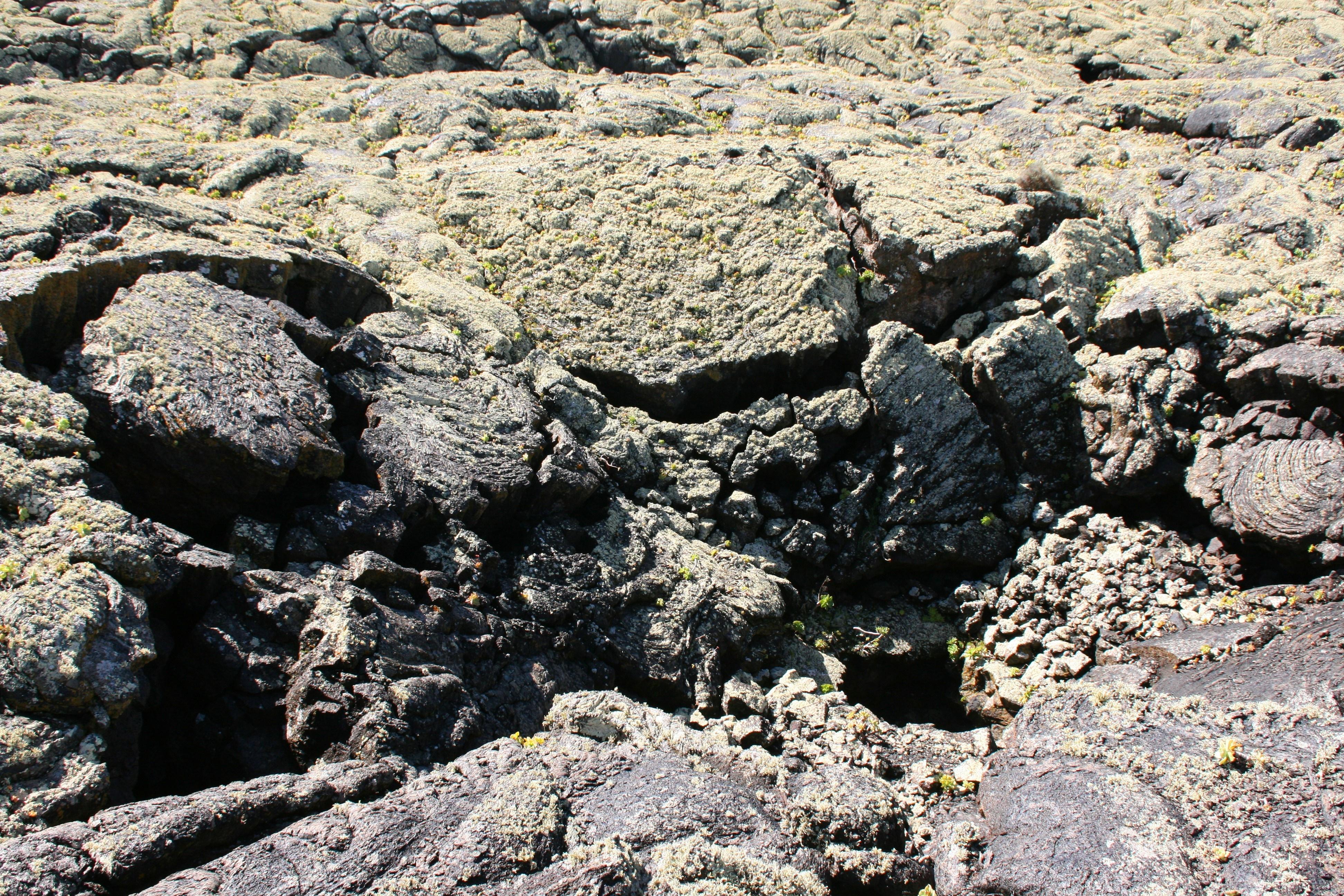 Cueva de Las Palomas