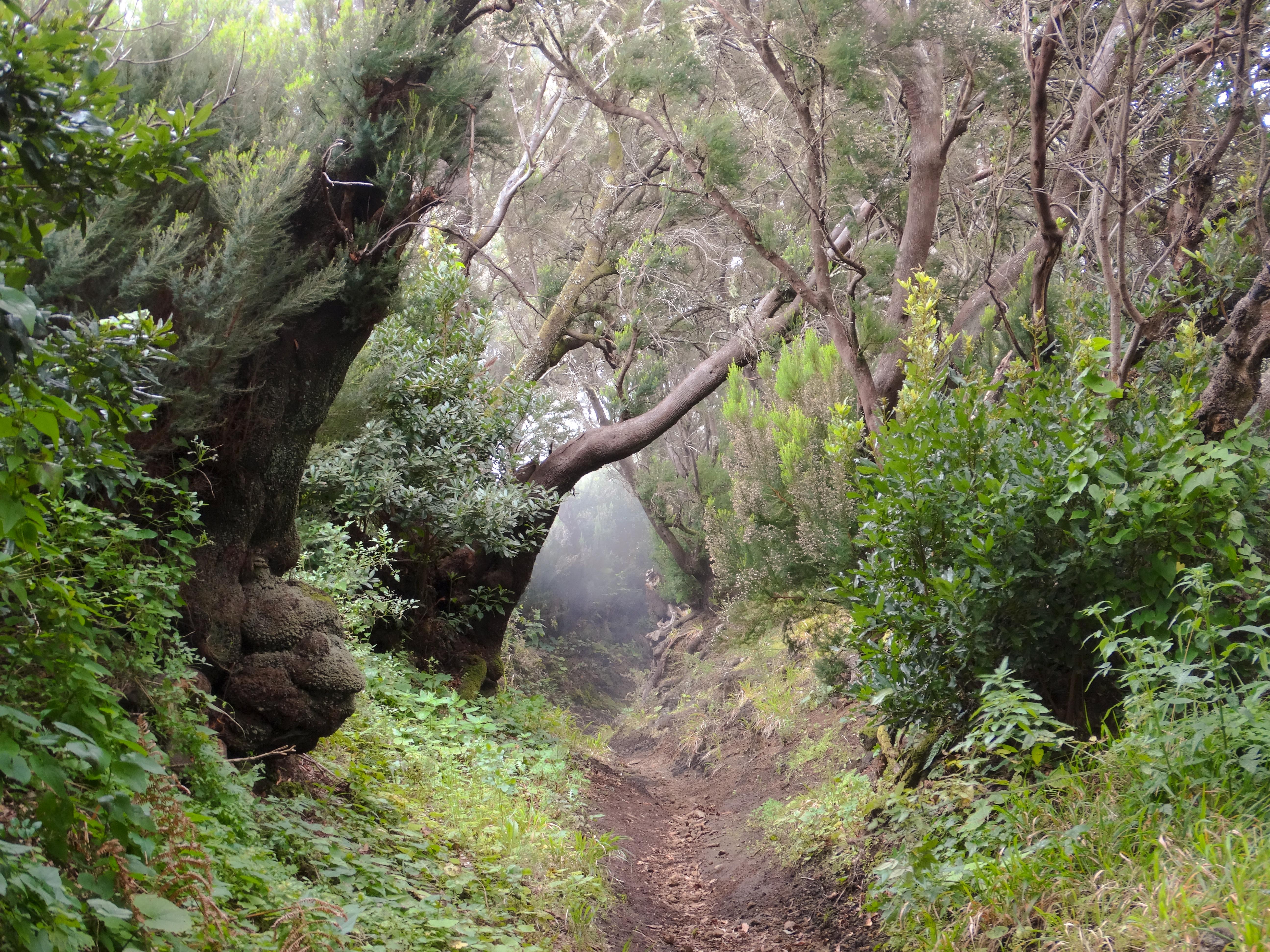 Cumbre Vieja Natural Park