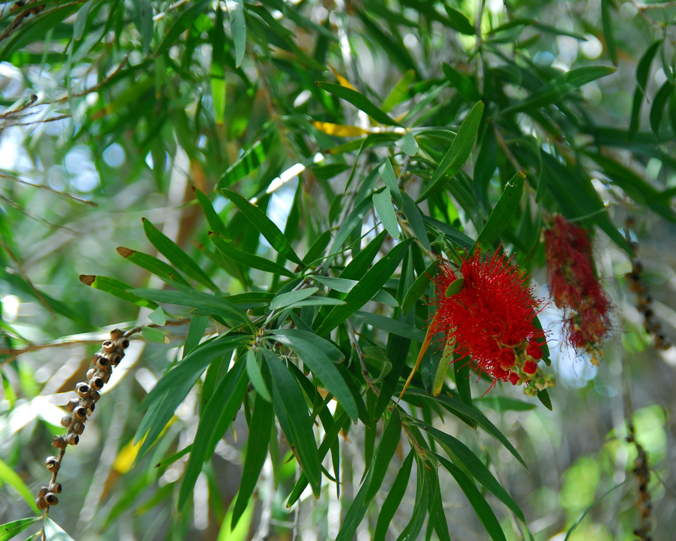 Botanical Garden