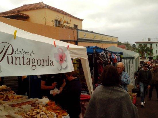 Fiesta del Almendro en Flor