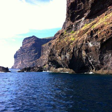 Tenerife Direct - The Royal Delfin - Day Tours