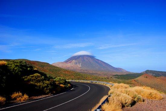 Tours In Tenerife