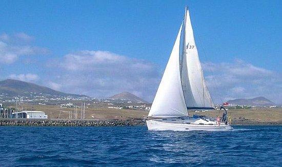 Endeavour Sailing