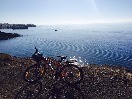 Revolution Bikes