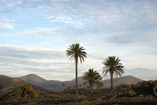 Blackstone Treks & Tours