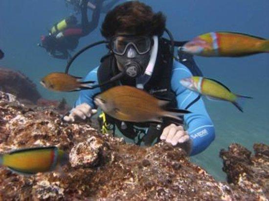 Davy Jones Diving