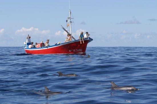 Oceano Whale Watching La Gomera