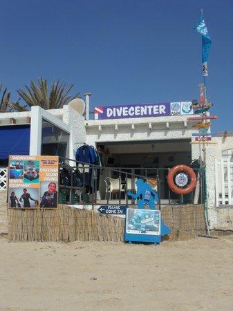 Delphinus Diving School