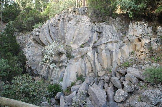 La Rosa de Piedra