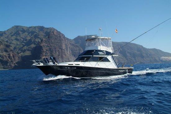 Tonina Cruises