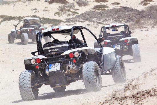 Dune Buggy