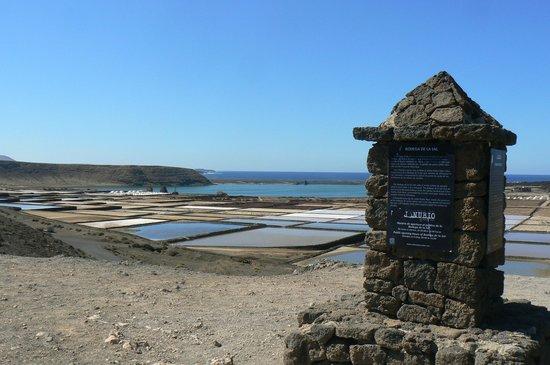 Las Salinas