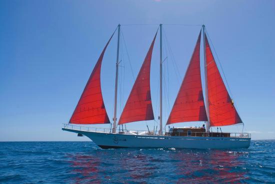 The Secret Yacht