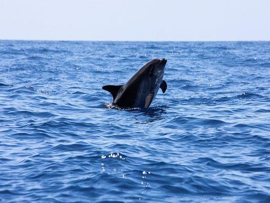 Gomera Rent a Boat