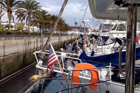 Celeone Charter