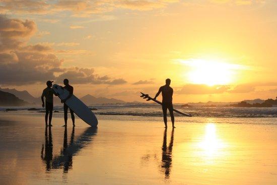 Nalusurf Surfschool