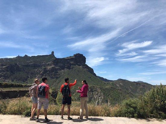 Canarito Tours