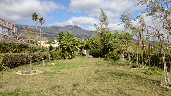 MoringaPark Tenerife
