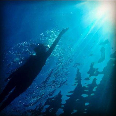 Swim Lanzarote