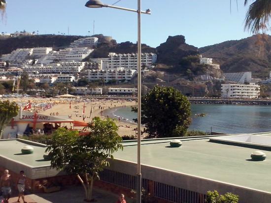 The Dolphins Bar