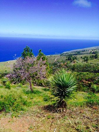 Ruta de los Dragos de Buracas