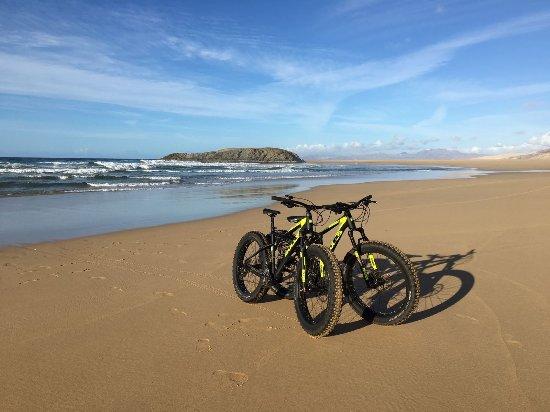 Fastmotion Bikerental & Tours