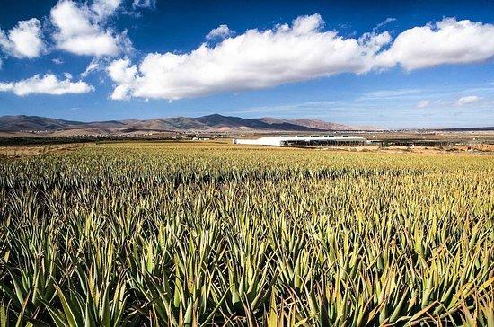 Tierras de Gairia