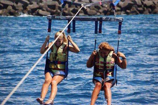 Cactus Excursions & Services
