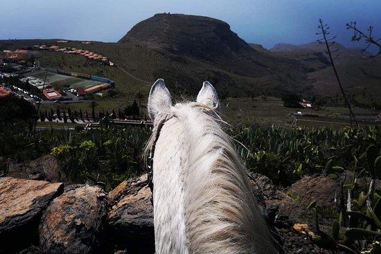Club Deportivo Mustang'S La Gomera