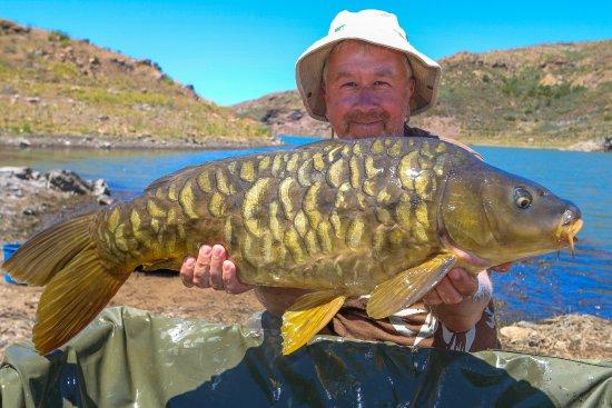 Carp Fishing Tour