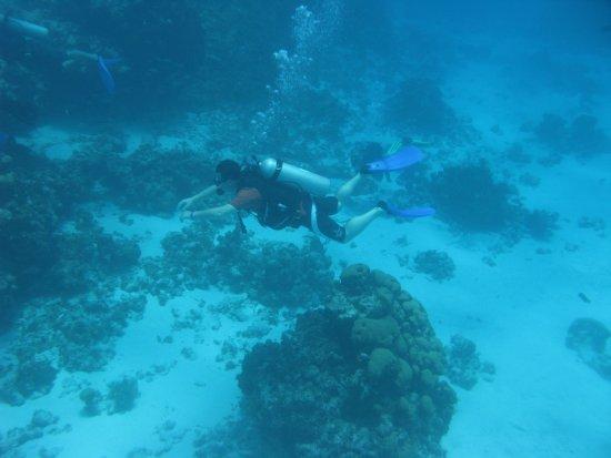 Divers Team