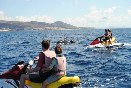 Excursiones Mar y Tierra
