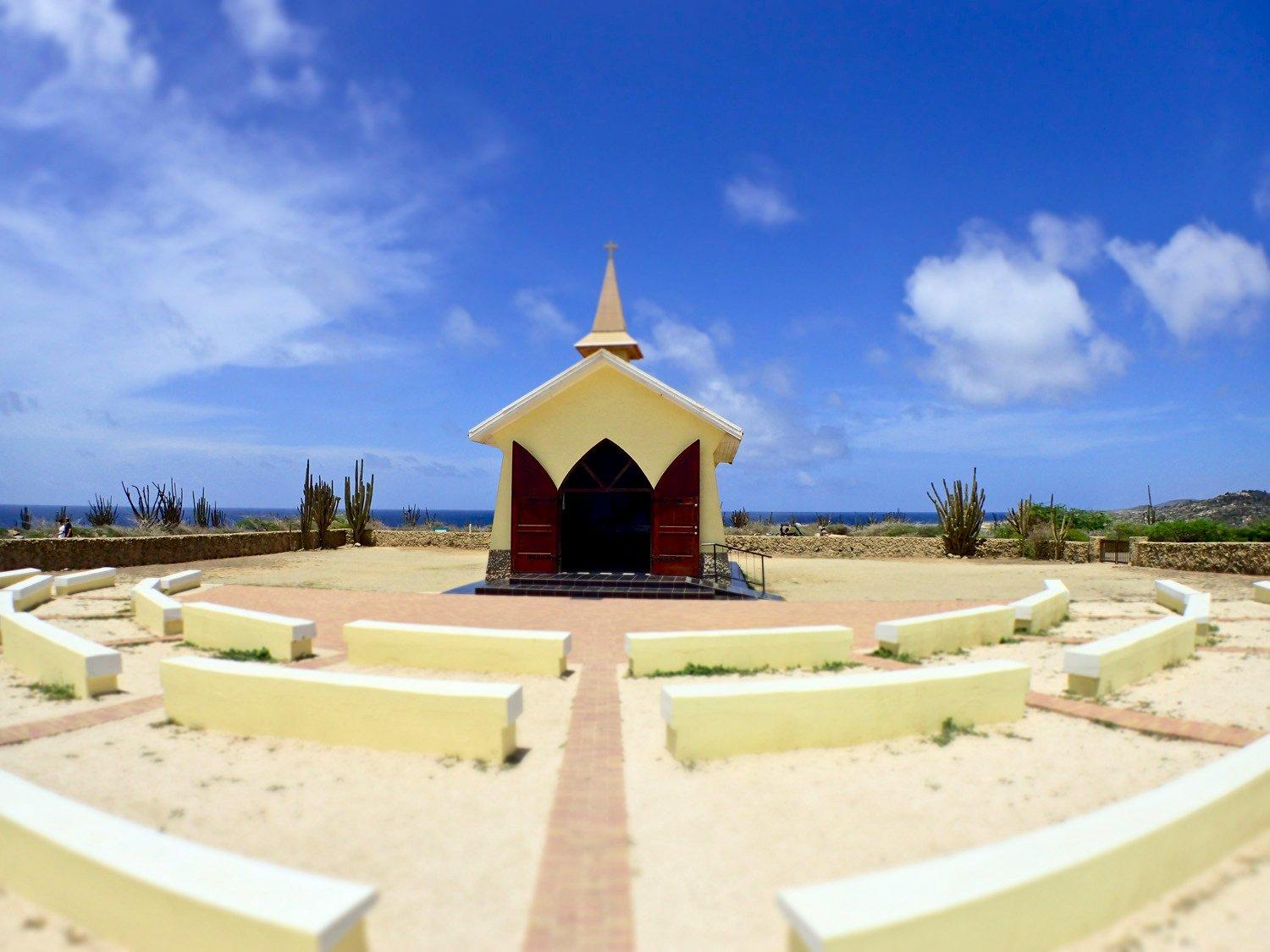 Donkey Sanctuary Aruba