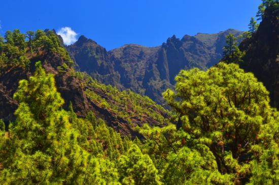 Parc national de la Caldeira de Taburiente