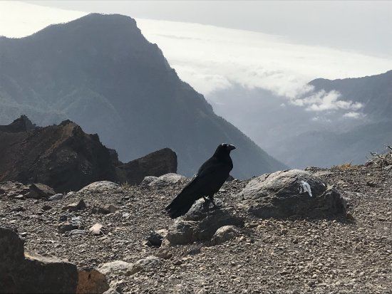 Pico de la Nieve