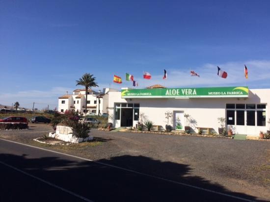 el Museo de Aloe Vera
