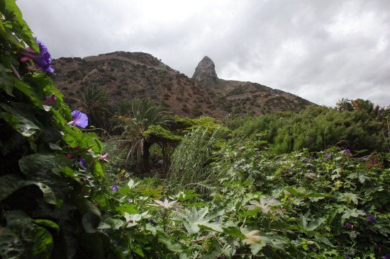 el Jardín Botánico del Descubrimiento de Vallehermoso