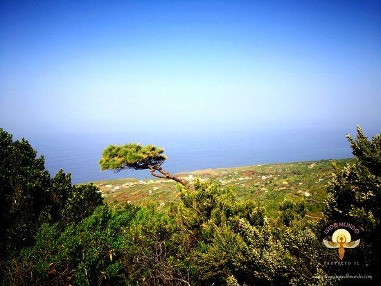 Parque Tanausu